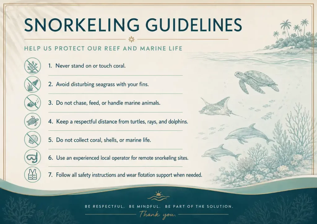 island_in_cambodia_resort Snorkeling Guide